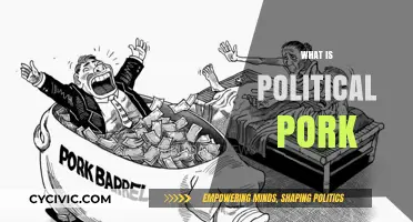 Understanding Political Pork: Definition, Examples, and Impact on Governance