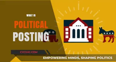 Understanding Political Posting: Impact, Ethics, and Social Media Influence