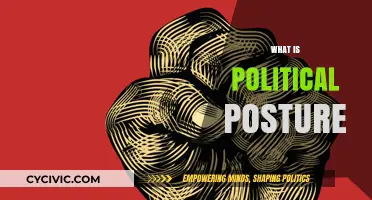 Understanding Political Posture: Its Role, Impact, and Influence in Society