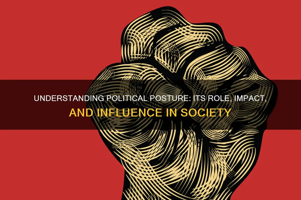 what is political posture