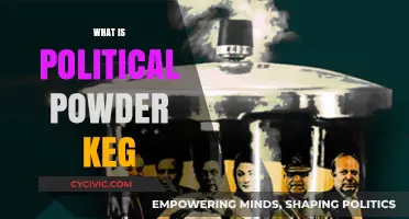 Understanding the Political Powder Keg: Causes, Consequences, and Prevention