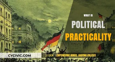 Understanding Political Practicality: Realpolitik, Compromise, and Governance Strategies
