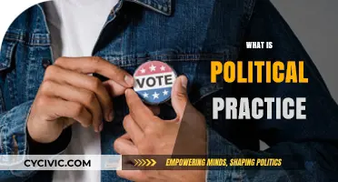 Understanding Political Practice: Strategies, Impact, and Real-World Applications