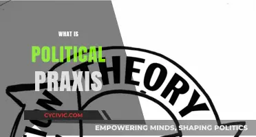 Understanding Political Praxis: Theory, Action, and Social Transformation Explained