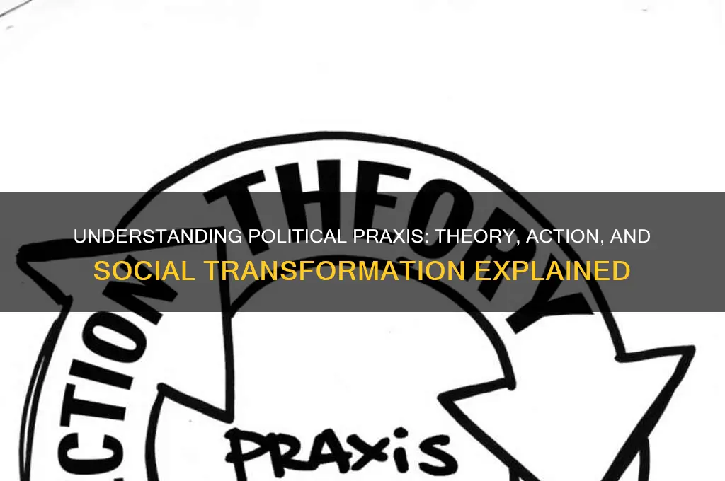 what is political praxis