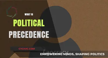 Understanding Political Precedence: Its Impact and Role in Governance