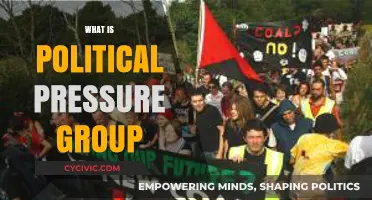 Understanding Political Pressure Groups: Influence, Advocacy, and Power Dynamics