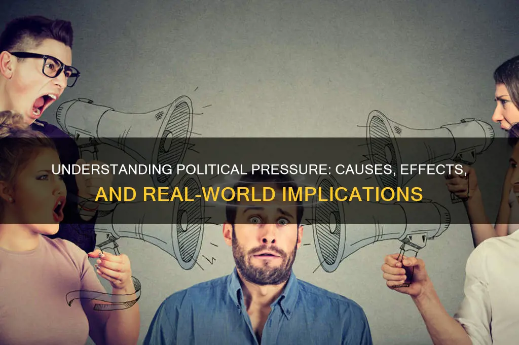what is political pressure