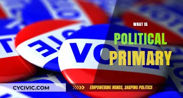 Understanding Political Primaries: Key Steps in the Election Process