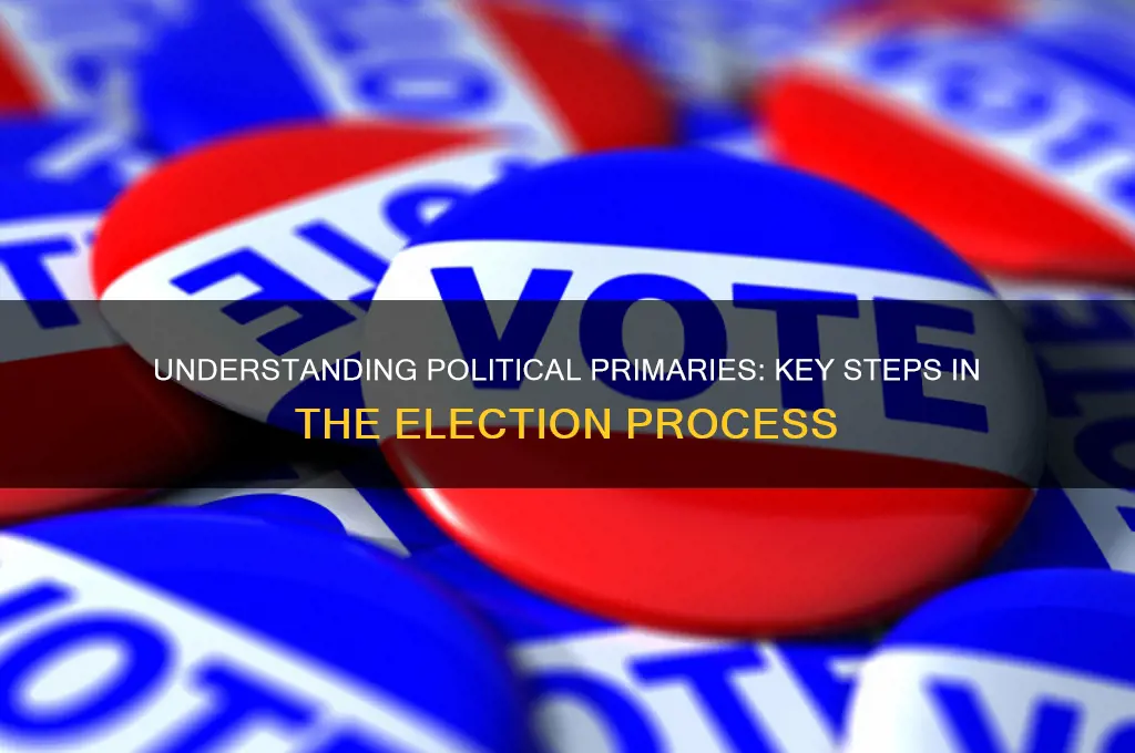 what is political primary