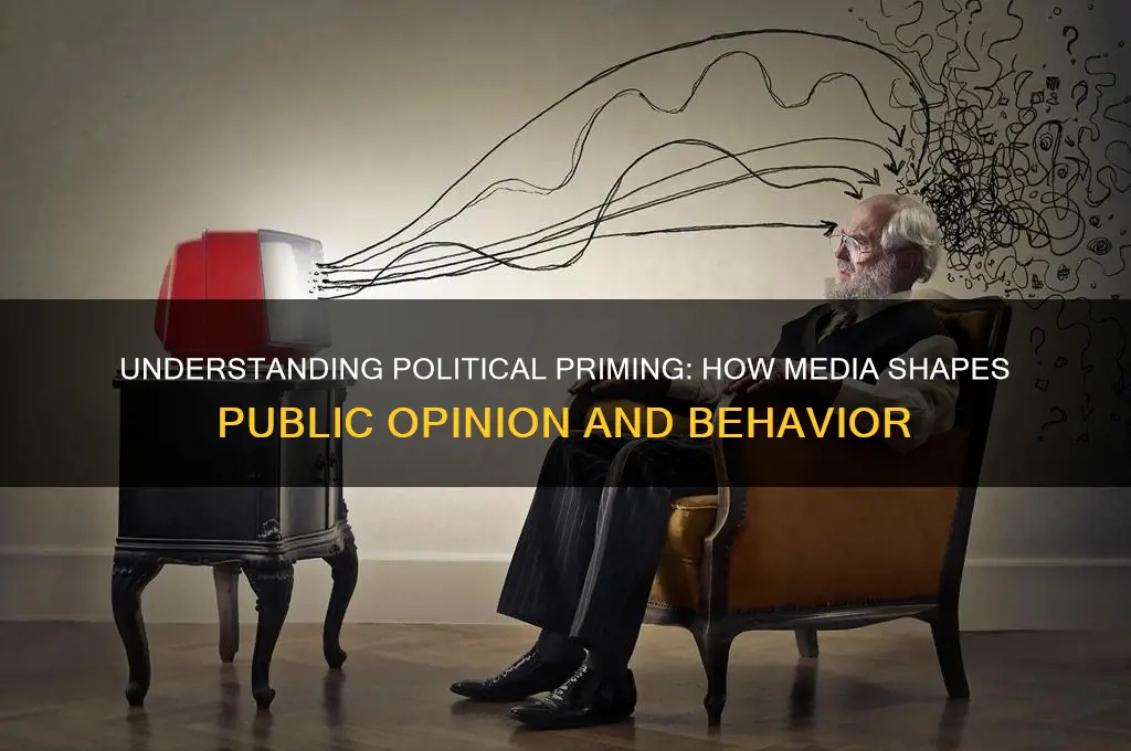 what is political priming