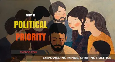 Understanding Political Priorities: Key Drivers and Impact on Governance
