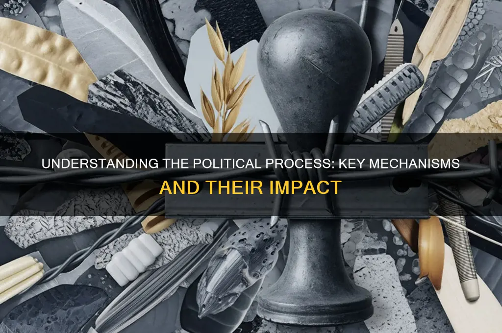 what is political procces