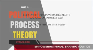 Understanding Political Process Theory: Key Concepts and Real-World Applications
