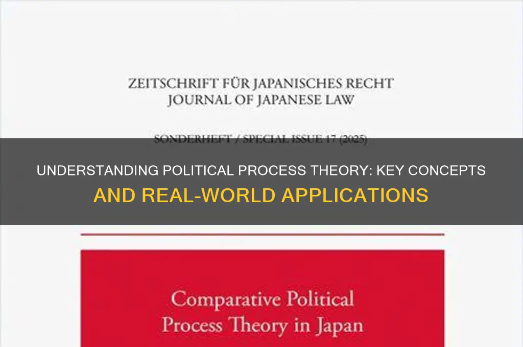 what is political process theory