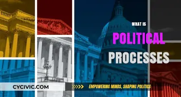Understanding Political Processes: Mechanisms, Actors, and Democratic Functions Explained