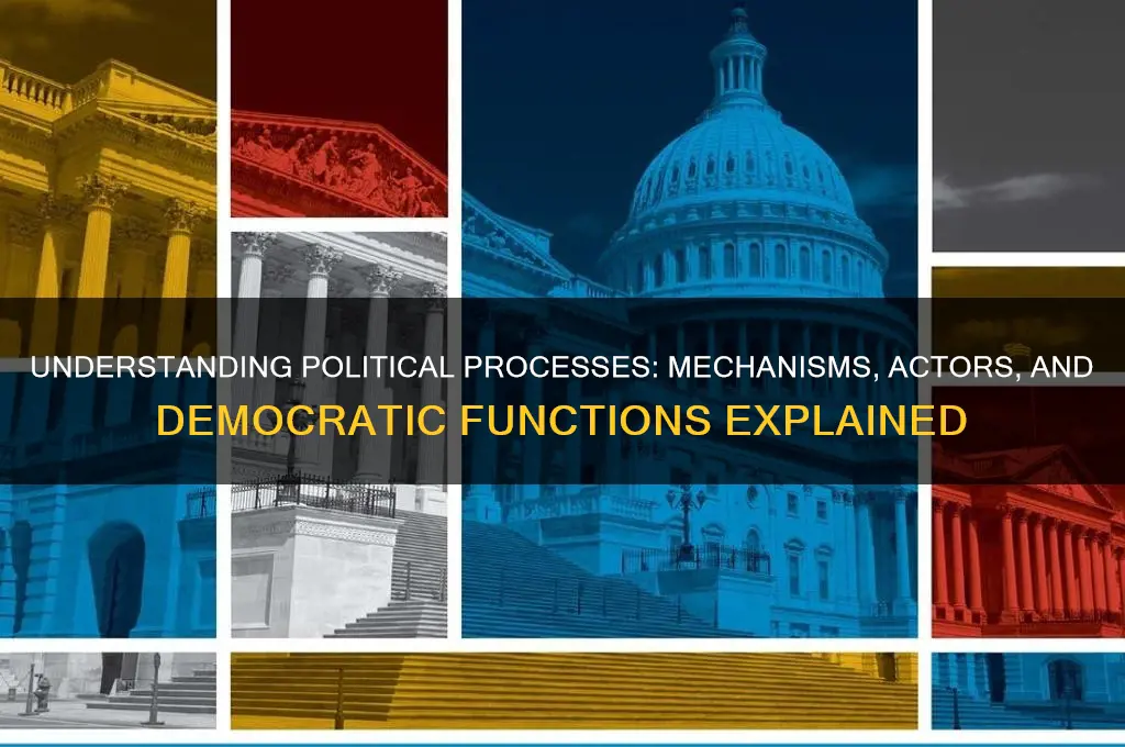 what is political processes