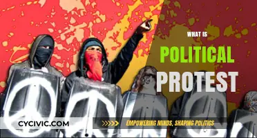 Understanding Political Protest: Causes, Methods, and Global Impact Explained