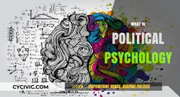 Understanding Political Psychology: Behavior, Power, and Decision-Making Explained