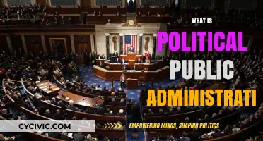 Understanding Political Public Administration: Roles, Functions, and Impact