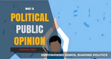 Understanding Political Public Opinion: Shaping Democracy's Voice and Power
