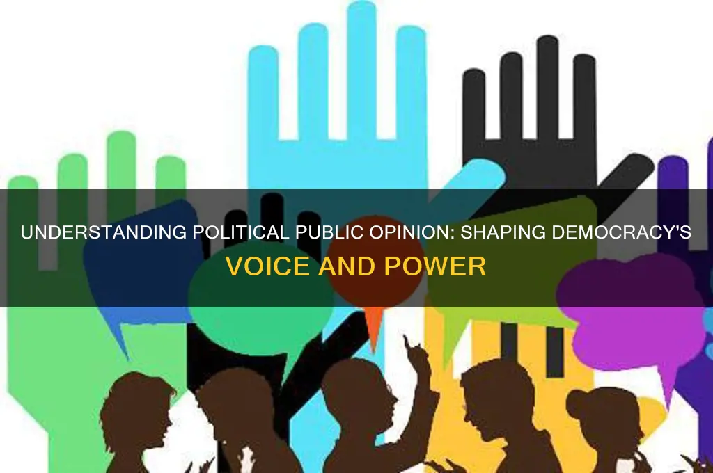 what is political public opinion
