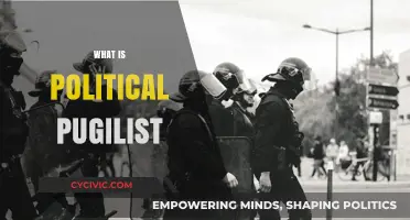 Understanding the Political Pugilist: Aggressive Tactics in Modern Politics