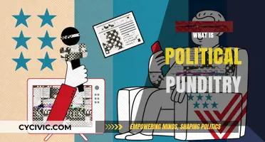 Understanding Political Punditry: Role, Influence, and Impact on Public Discourse