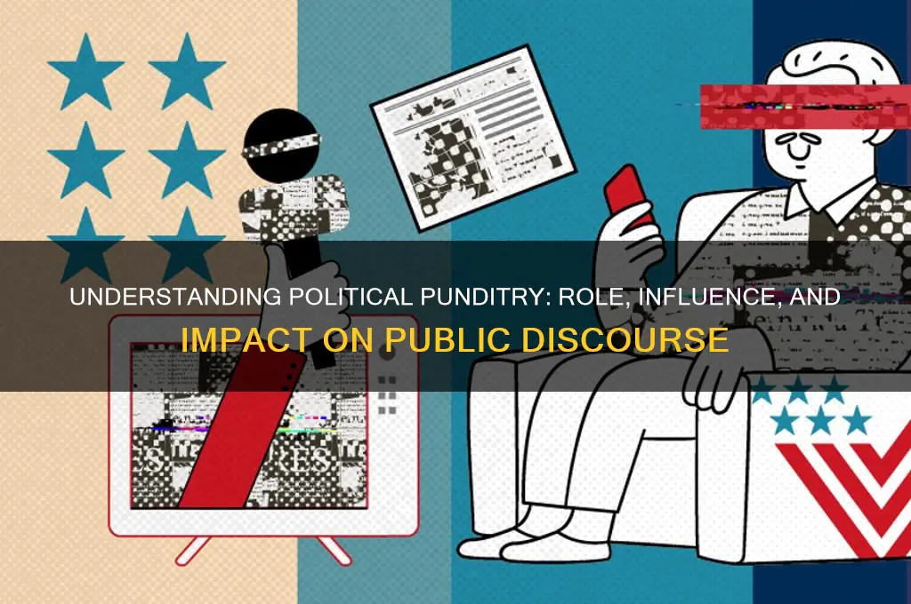 what is political punditry