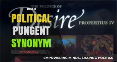 Exploring the Sharpest Synonyms for Political Pungency: A Linguistic Dive