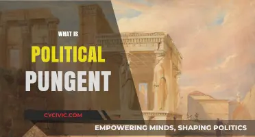 Understanding Political Pungency: Sharp Criticism and Its Impact on Governance