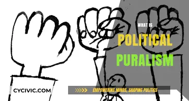Understanding Political Pluralism: Diversity, Democracy, and Power Dynamics Explained