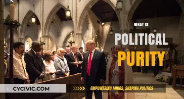 Understanding Political Purity: Ideological Rigor vs. Pragmatic Compromise