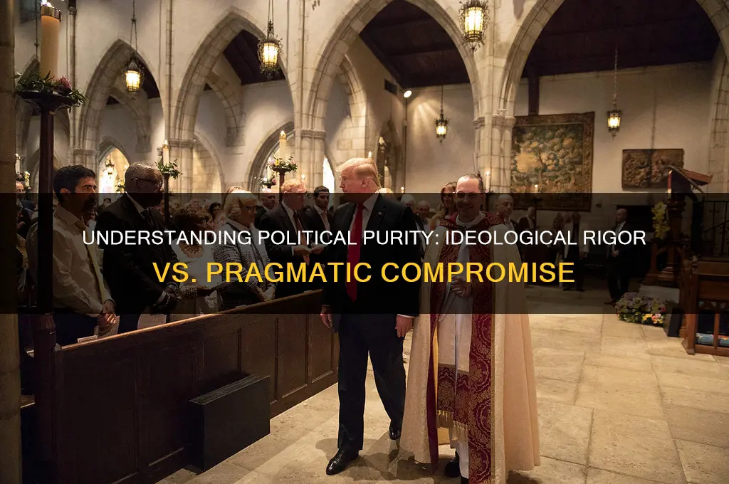 what is political purity