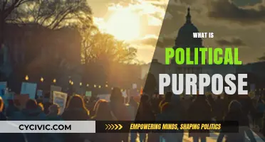 Understanding Political Purpose: Goals, Impact, and Societal Influence Explained