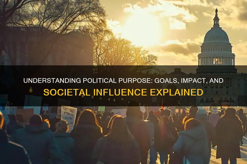 what is political purpose