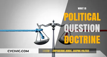 Understanding the Political Question Doctrine: Legal Boundaries and Implications