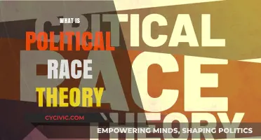 Understanding Political Race Theory: Origins, Impact, and Modern Debates