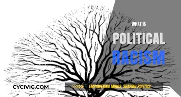 Understanding Political Racism: Its Roots, Impact, and Modern Manifestations