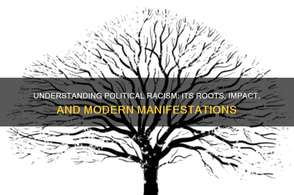what is political racism
