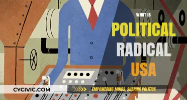 Understanding Political Radicalism in the USA: Origins, Impact, and Evolution
