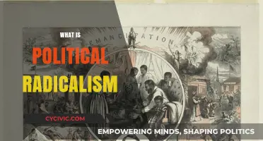 Understanding Political Radicalism: Origins, Impact, and Modern Implications