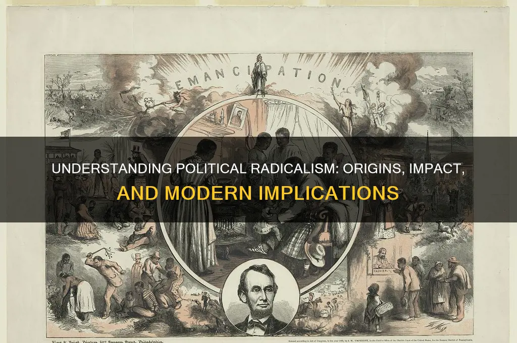 what is political radicalism