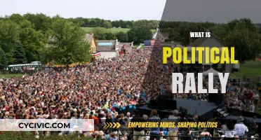 Understanding Political Rallies: Purpose, Impact, and Historical Significance