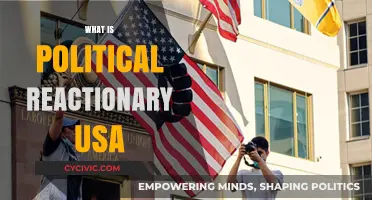 Understanding Political Reactionary Movements in the United States Today