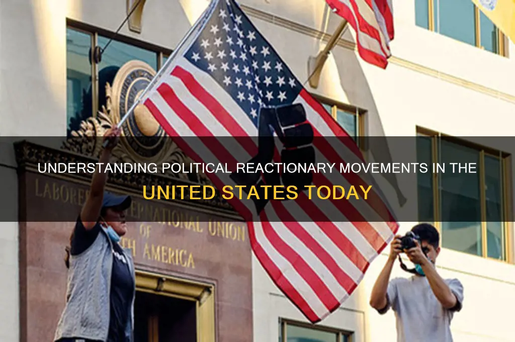 what is political reactionary usa