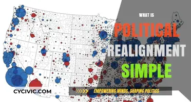 Understanding Political Realignment: A Simple Guide to Shifting Party Power