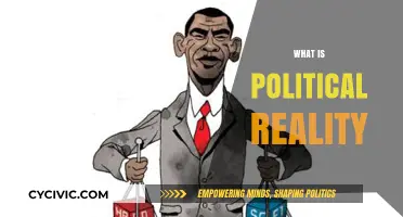 Understanding Political Reality: Power, Perception, and Practical Implications