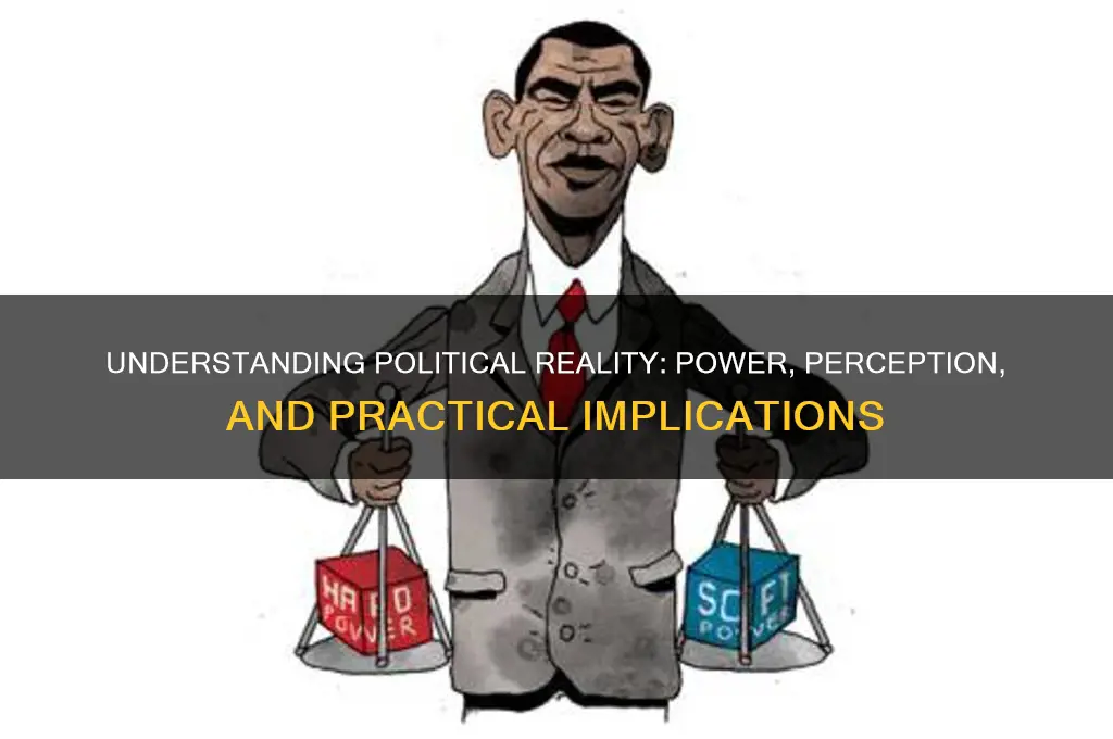what is political reality