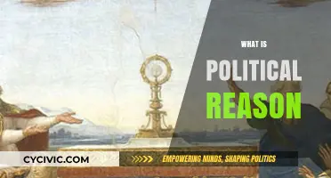 Understanding Political Reason: Foundations, Functions, and Real-World Applications